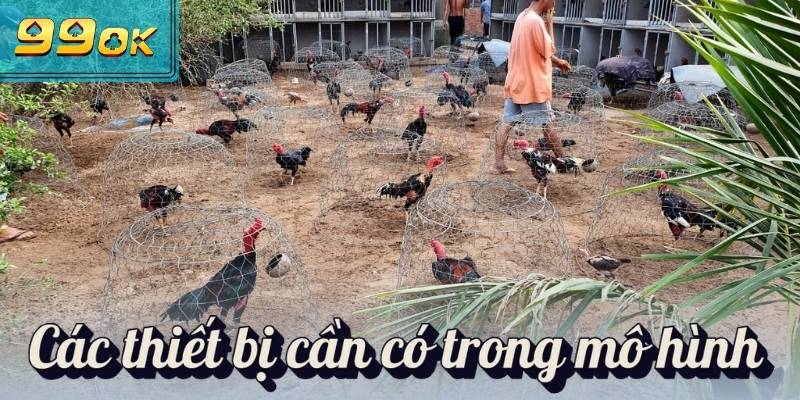 Mô Hình Nuôi Gà Đá Tiết Kiệm Mang Về Hiệu Quả Bất Ngờ 2 Các thiết bị cần có trong mô hình