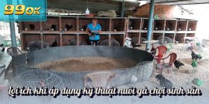 Lợi ích khi áp dụng kỹ thuật nuôi gà chọi sinh sản
