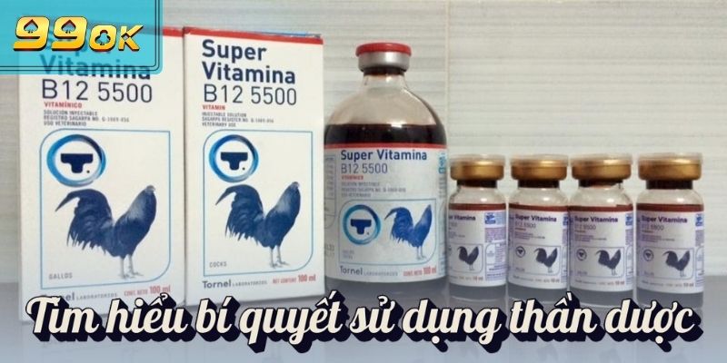 Thuốc Nuôi Gà Đá - Nâng Tầm Chiến Kê, Bách Chiến Bách Thắng 3 Tìm hiểu bí quyết sử dụng thần dược